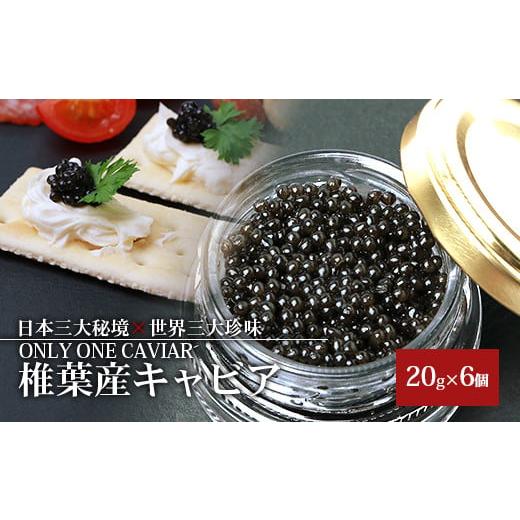 ふるさと納税 宮崎県 椎葉村 HEIKE CAVIAR 20ｇ×６個 国産 チョウザメ キャビア