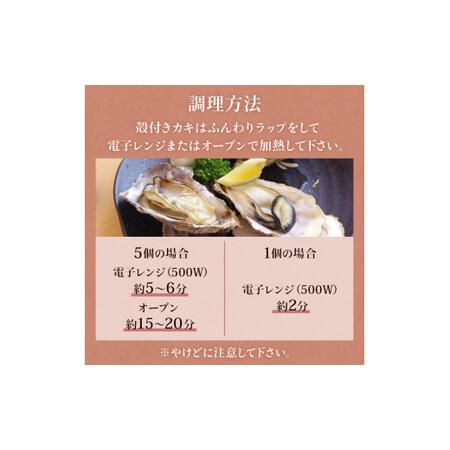 ふるさと納税 牡蠣むき身500gと殻付き牡蠣6個のお楽しみセット 宮城県石巻市