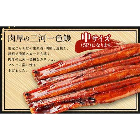 ふるさと納税 中(5P) 三河一色 鰻蒲焼き 2尾 (240g以上) (肝焼き付き)  うなぎ 鰻 蒲焼 丑の日 土用の丑の日 愛知県幸田町