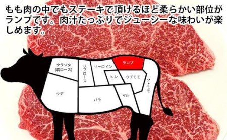 土佐和牛A5特選ランプステーキ200ｇ×2枚セット　牛肉　和牛ステーキ肉