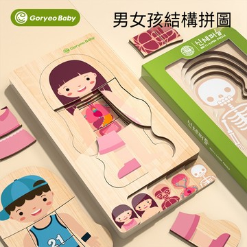 木制多層拼圖 嵌板男女孩 人體結構拼圖  兒童啟蒙早教玩具 兒童人體部位認知拼圖  科學益智  兒童人體學習玩具