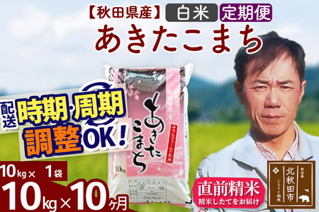 《定期便10ヶ月》＜新米＞秋田県産 あきたこまち 10kg(10kg袋) 令和5年産 お届け時期選べる 隔月お届けOK お米 みそらファーム 発送時期が選べる