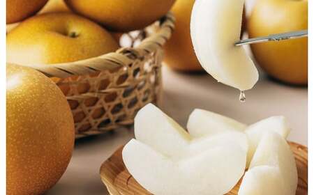  くまもとの 梨 食べ比べ 定期便 約3kg×3回 合計約9kgナシ フルーツ くだもの 果物