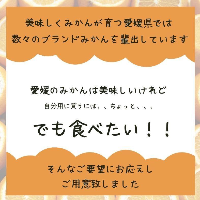 早生小粒愛媛みかん 約10kg (5kg×2箱)　北海道・沖縄送料別途1000円