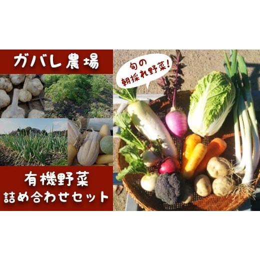 ふるさと納税 埼玉県 鴻巣市 ガバレ農場の季節の有機野菜詰め合わせセット