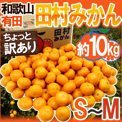 みかん 和歌山有田産 ”田村みかん” ちょっと訳あり S〜M 約10kg 産地箱 送料無料