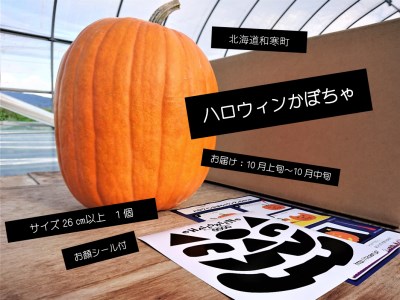 ≪令和6年10月お届け≫ハロウィンかぼちゃ