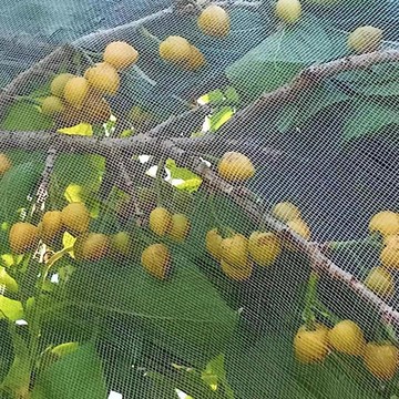 🔥臺灣熱賣⚡️果樹防鳥罩嘉寶果枇杷櫻桃藍莓果園尼龍菜地陽臺保護罩