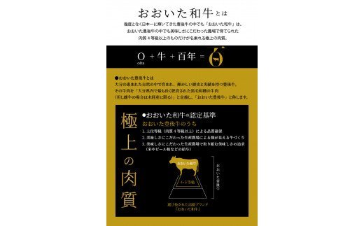 おおいた和牛　切り落し　約500g