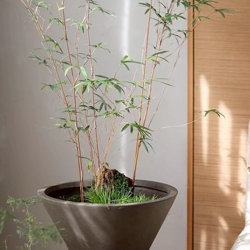 花器 花盆 花瓶 形鎂泥花盆大口徑綠植花器鎂泥組合盆器景觀仿真北歐風格歐新品86S 快速出貨