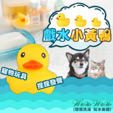 【最高折300】毛皇上寵物玩具 戲水小黃鴨 搪膠玩具 發聲玩具 小鴨鴨 經典小黃鴨 啾啾聲 狗狗玩具