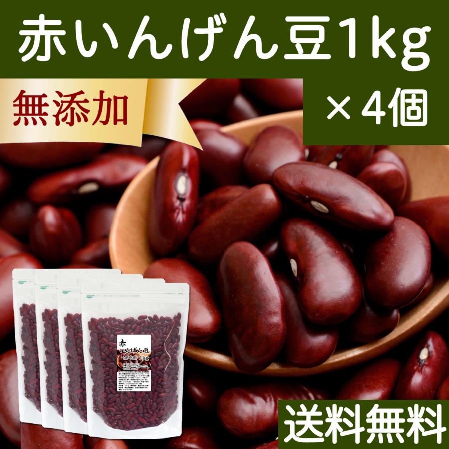 赤 いんげん豆 1kg×4個 金時豆 インゲン豆 レッドキドニー ビーンズ 送料無料