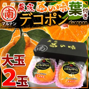 長崎 マルナン ”匠の味 葉付きデコポン” 秀品 大玉2玉 専用化粧箱 送料無料