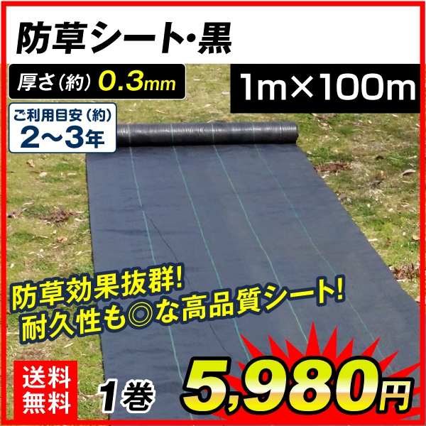 販売期間 限定のお得なタイムセール シンセイ 防草シート 2m×100m 黒 抗菌 草除けシート 雑草防止シート 草おさえ 草よけシート 