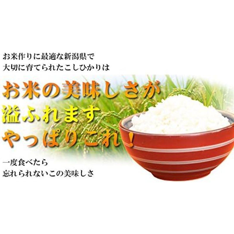 精米 新潟県 白米 １等米 こしひかり 5kg×2 令和4年産