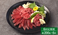  赤身 馬刺し ブロック 約200g (約100g×2パック)×6回 馬肉 馬刺 お肉 合計1.2kg