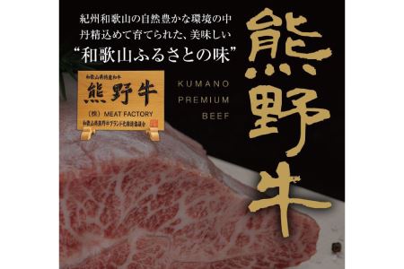 特選黒毛和牛 熊野牛 赤身ステーキ約600g