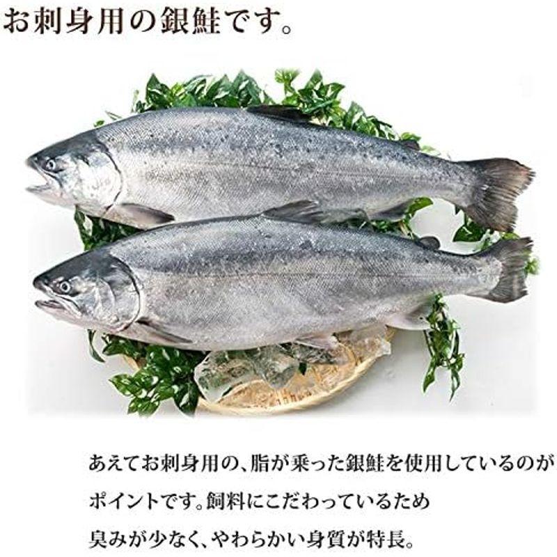 マルヤ水産 南三陸産 銀鮭の醤油煮 缶詰 (180g缶) 3缶入