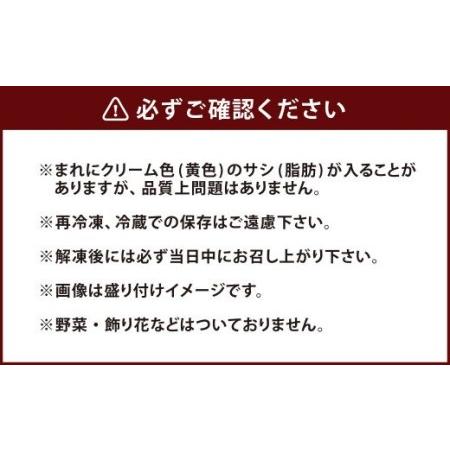 ふるさと納税 馬刺しセット 中トロ 霜降り 400g 熊本県宇城市