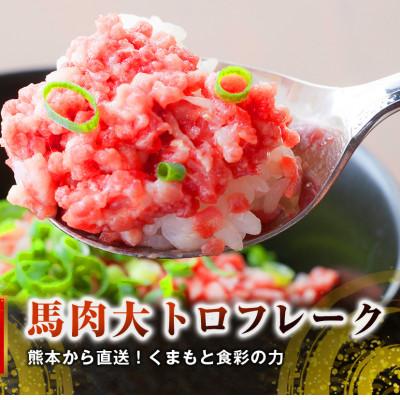 ふるさと納税 宇城市 熊本直送　国産馬刺しブロック肉　上霜降り(トロ)300g 大トロフレーク200gセット(宇城市)