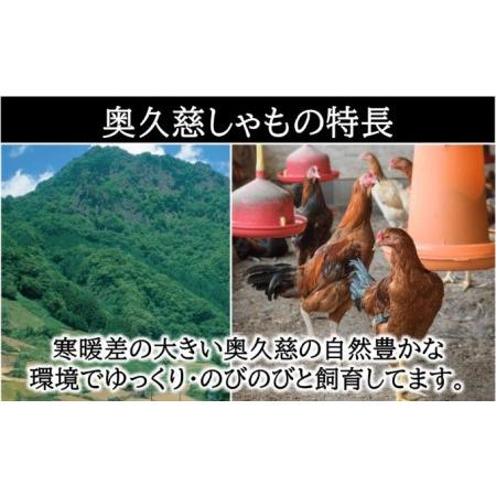 ふるさと納税 奥久慈 しゃも肉 詰め合わせ お肉 鶏肉 茨城県大子町