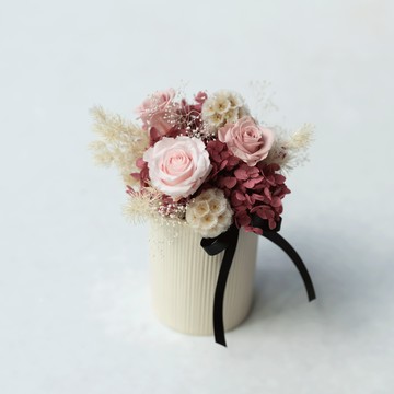 香川粉黛 恆星盆花