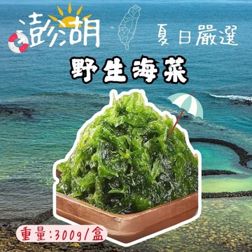 澎湖海菜(300g/包) 野生海菜 澎湖野生海菜 炒海菜 涼拌