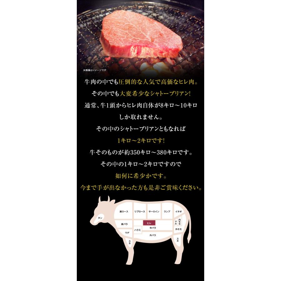 ギフト お中元 御中元 九州産黒毛和牛ヒレ シャトーブリアン 100g（1枚）ステーキ用  BBQ バーベキュー 送料無料 御歳暮 お歳暮 化粧箱