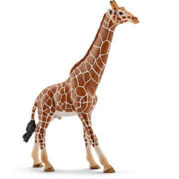 Schleich 史萊奇 14749 長頸鹿爸爸