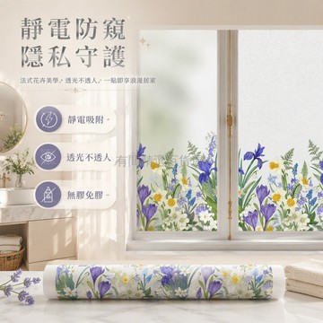 台灣出貨✨ 玻璃窗貼膜 靜電防窺膜 浴室廚房廁所玻璃裝飾 磨砂透光不透人 法式花卉圖案 30x60cm