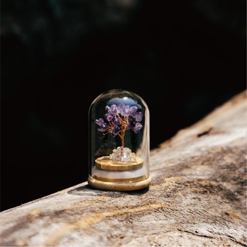 Montagne｜Preserved-紫水晶-權利。守護