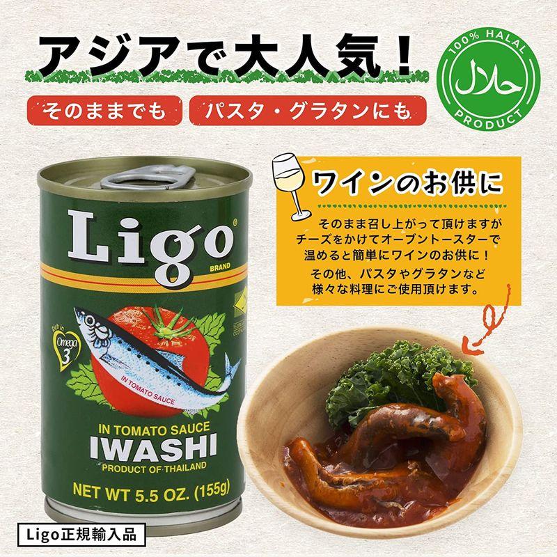 Ligo イワシのトマト煮 155g x 50缶ケース販売防災 備蓄 保存食 いわし缶