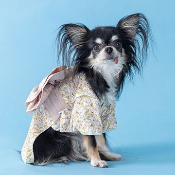 新品上架【梨花娘總代理】🐾日本品牌Solgra 🐶日系立體蝴蝶結寵物夏日浴衣(XS~XXL)