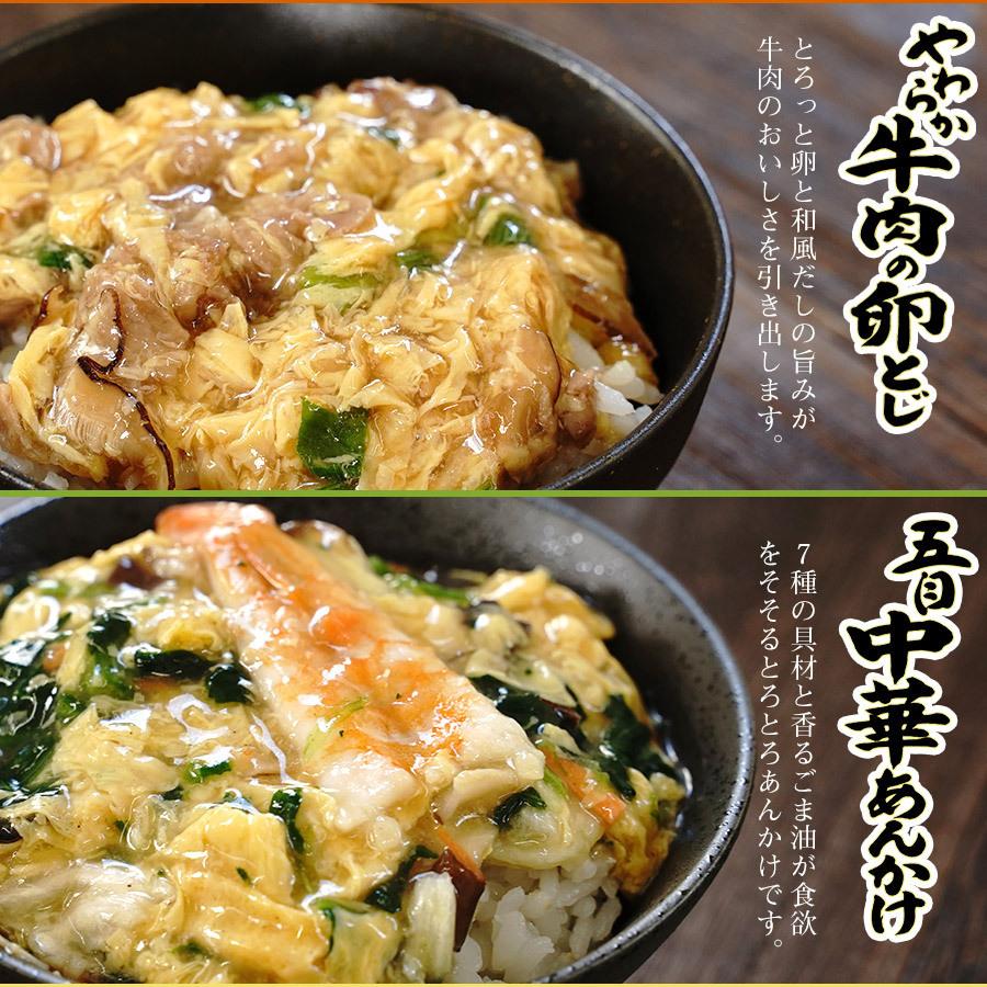 アマノフーズ フリーズドライ  惣菜 どんぶりの素 ３種類12食セット（親子煮・中華あんかけ・牛肉の玉子とじ）