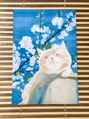 |NO.2 貓咪| 水彩插畫明信片