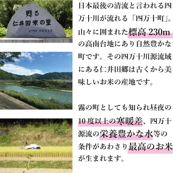 高知県四万十町産 幻の香る米5kg　高知県産 四万十町 新米 お土産 特産品 ご家庭用 高知のお米　香る米