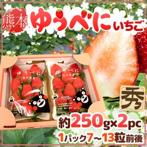 熊本県 ”ゆうべにいちご（熊紅いちご）” 秀品 2パック入り（1パック 7～13粒 約250g）×《1箱》 送料無料