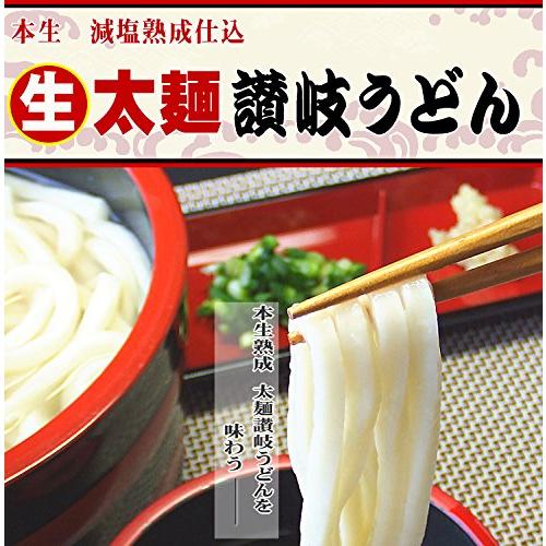  本生讃岐うどん太麺10人用　つゆなし