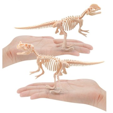 現貨〔兒童玩具C3E】恐龍化石骨架DIY拼裝 ♥ 霸王龍 角鼻龍 模型手工考古 挖掘 教具 拼裝玩具