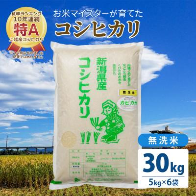 ふるさと納税 上越市 令和5年産 お米マイスターが育てた上越産コシヒカリ30kg(5kg×6)無洗米　精米