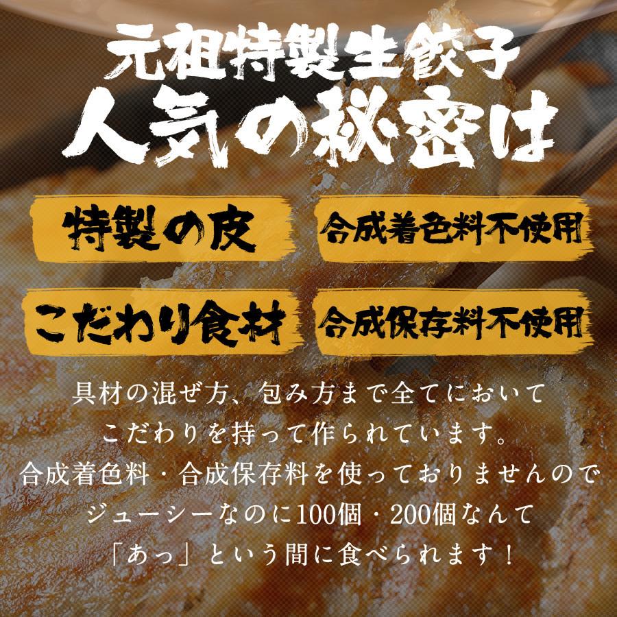 餃子 取り寄せ 送料無料 業務用 冷凍 生餃子 国産素材 時短 お手軽 簡単 大容量 餃子計画 業務用の特製生餃子 200個袋入