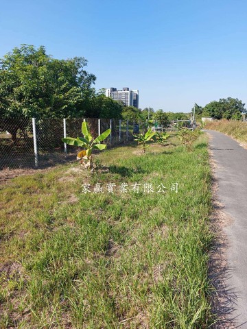 灣裡重劃區旁都內休閒農地｜台南市南區灣裡路