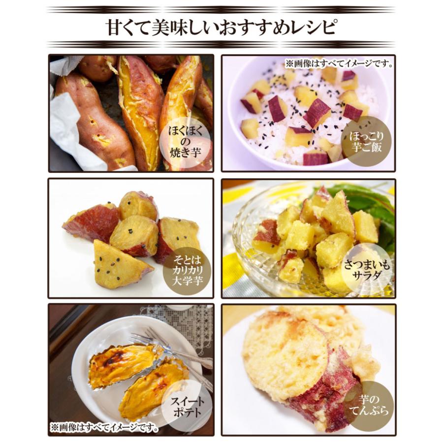 シルクスイート さつまいも 5kg 送料無料 産地直送 産直 土付き さつま芋 薩摩芋 焼きいも 焼き芋 鹿児島県産 FJK-001