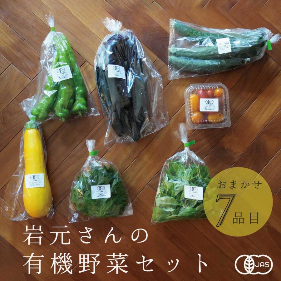 野菜セット 有機 詰め合わせ 7品目 兵庫県産  産地直送 クール便 国産 農家直送 有機野菜セット