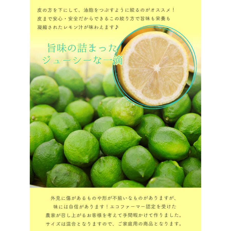 訳あり 国産 無農薬 レモン 10kg 愛媛 大三島 又は 広島 瀬戸内 ore