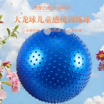 台灣熱賣感統訓練器材家用顆粒大龍球兒童觸覺按摩前庭失調平衡早敎玩具球 JJ8G