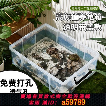 【全網低價 可打統編】烏龜周轉箱飼養缸大號帶蓋生態造景塑料透明烏龜缸魚缸家用水族箱