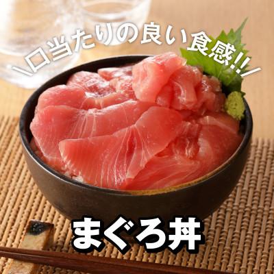 ふるさと納税 泉佐野市 大人気!マグロ サーモン丼ぶりセット1kg 010B313