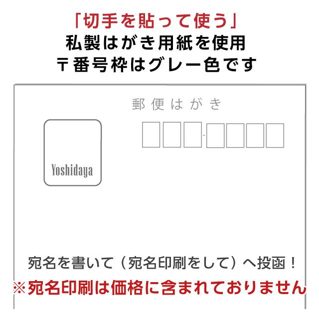 喪中はがき 寒中見舞い 桜デザイン 200枚 印刷 さくら 年賀欠礼 ハガキ 手紙 名入れ 帰蝶堂