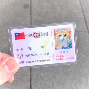 【 限時優惠 】寵物身份證 (客製紀念商品)